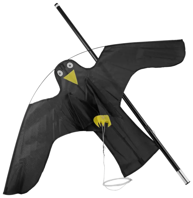 Fågelskrämma drake