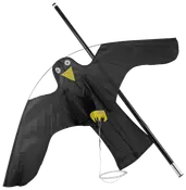 Fågelskrämma drake