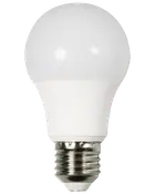 LED-pære 2,9W E27 A55