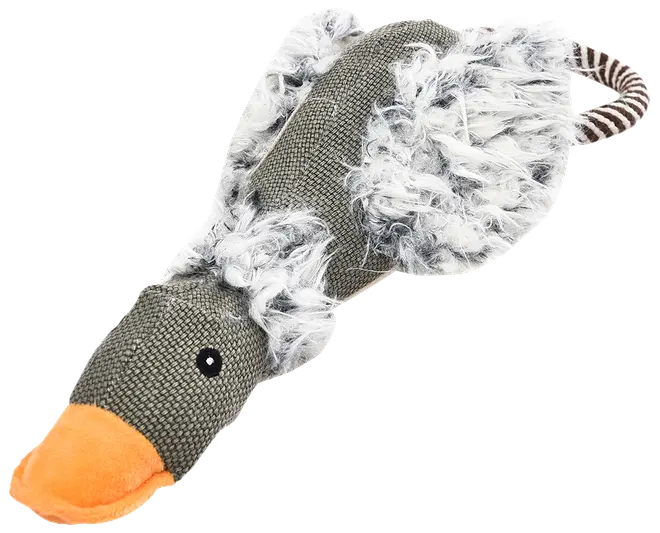 DanPet Hundelegetøj trækfugl 41 x 16 cm