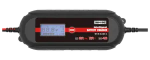 Batteriladdare 8A/12-24V