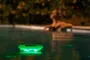 Flydende LED-poollys i grøn, cirkulært design, vandtæt, perfekt til belysning om natten. Forbedrer stemning og sikkerhed, ideel til pool eller spa. Batteridrevet, nem at bruge.