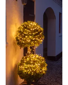 Varmvita LED-ljusslingor lindade runt två klotformade buskar, ger mysig utomhusbelysning. Perfekt för trädgård, uteplats eller fest. Tålig för utomhusbruk.