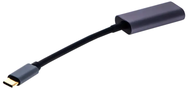 Kort sort adapterkabel med et lille USB-C-lignende stik og et større rektangulært hus i den anden ende.
