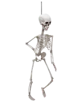 Halloween-skelett 70 cm
