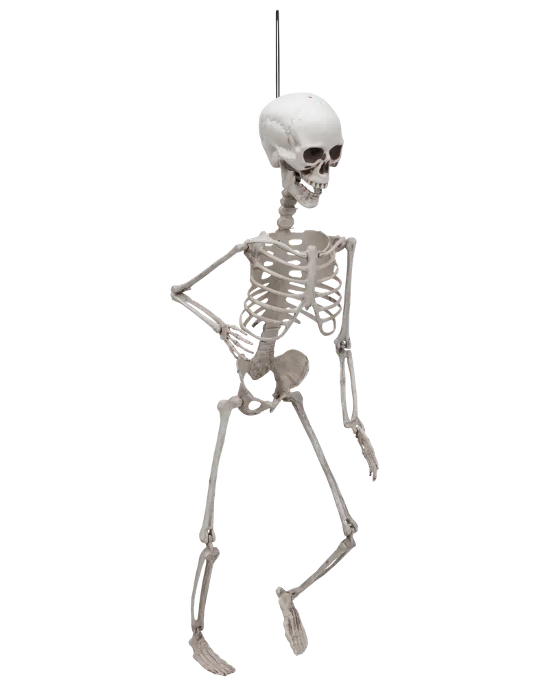 Halloween-skelett 70 cm