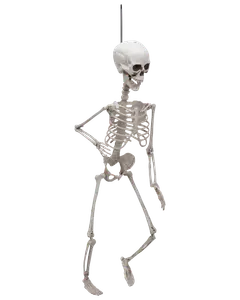 Halloween-skelett 70 cm