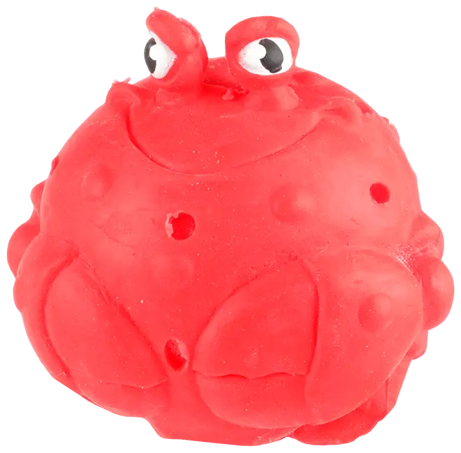 Röd gummileksak för hund formad som en nyckelpiga med upphöjda ögon, texturerad yta och små hål för tugg. Hållbar och passar för lek eller apport.