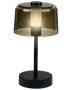 Moderne bordlampe med sort fod og stang, cylindrisk matteret glas med røgfarvet skærm. Udsender blødt, varmt lys. Velegnet til skrivebord eller natbord.