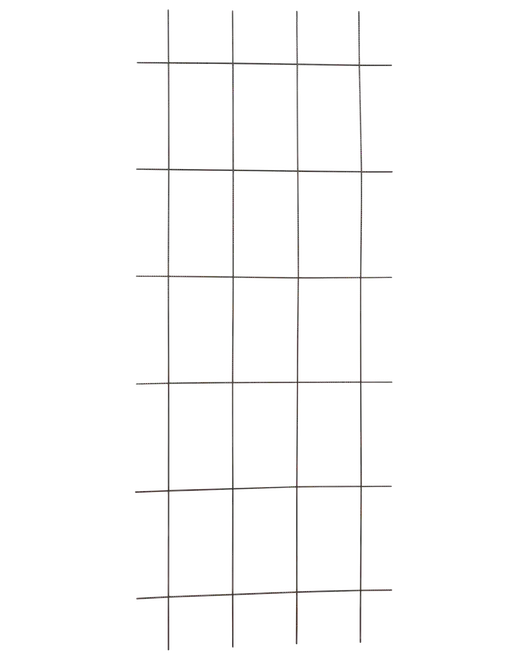 Espalier 150 x 60 cm