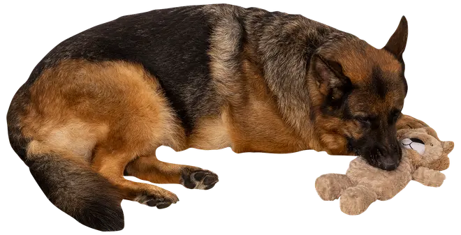 Hundleksak lejon 34 cm